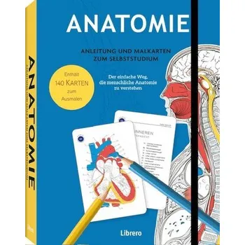 Anatomie - Anleitung und Malkarten zum Selbststudium - Sacks, Gary