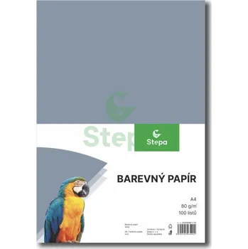 Barevný papír Barevný papír - šedý, A4, 80g (100 listů)