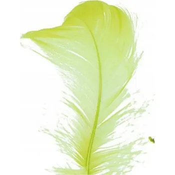 Příslušenství pro čtečku elektronické knihy OZDOBNÉ PEŘÍČKA pro VÝTVARNÉ PRÁCE a Scrapbooking 15g Barva ZELENKAVÁ