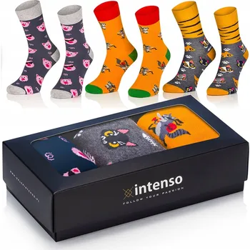 Pánská móda PÁNSKÉ PONOŽKY INTENSO 3 PÁRY Z_6 41-43