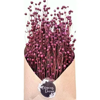 umělá květina Sušený len TÉMNÁ FIALOVÁ/ŠVESTKOVÁ, kytice/svazek 50g