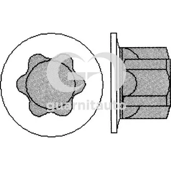 Kryt motoru Sada šroubů pro hlavy válců GUARNITAUTO 703601-1010