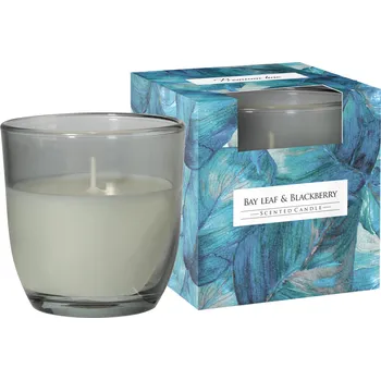 Svíčka Tradiční parafínová svíčka Bobkový list-Ostružina Bispol 1 ks