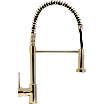Vodovodní baterie Kuchyňská baterie stojánková FORB zlatá