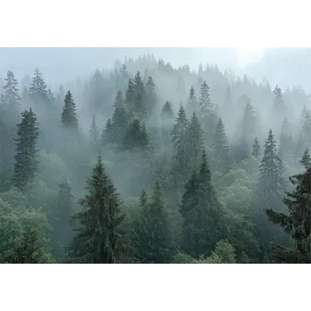 Fototapeta FOTOTAPETA LES V MLZE STROMY 3D PŘÍRODA NA ZEĎ LOŽNICE OBÝVACÍ POKOJ 400x280