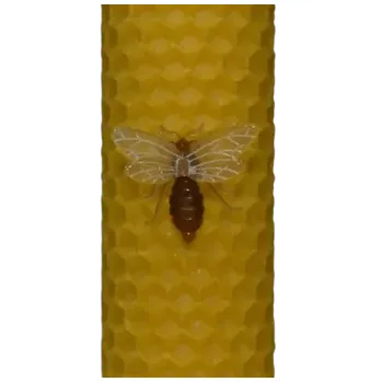 Plastová včelka dekorativní světlá (Včelka k dekoraci )