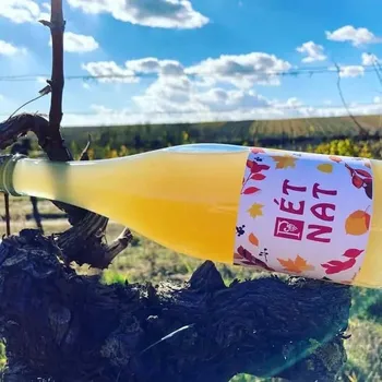 Pet-nat Veltlínské zelené 2025