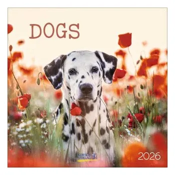 Kalendář Dogs 2026 (Kalendář)