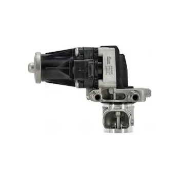 Ventil palivového systému AGR-Ventil NISSENS 98407