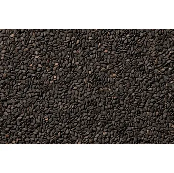 Sezam černý 3 kg LES FRUITS DU PARADIS