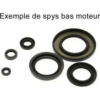 Sada olejového těsnění CENTAURO 933A255SR