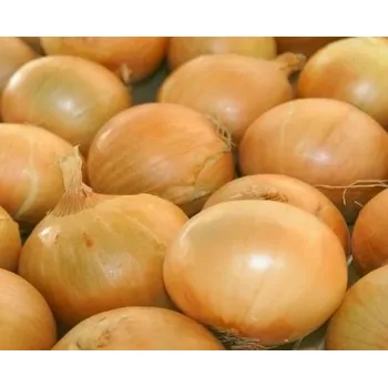 Pěstitelství Ozimá sazečka RADAR RADAR 200g