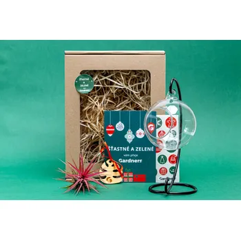 Vánoční dekorace Gardners Vánoční dárková sada - Aerárium a kovový stojánek s Tillandsií Ionantha red