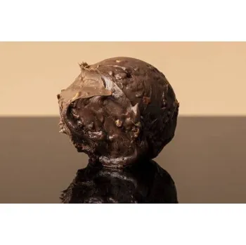 CZ distribuce Bakels Ganache s kousky lískových oříšků (0,5 kg) ▹