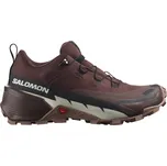 SALOMON Cross Hike GTX