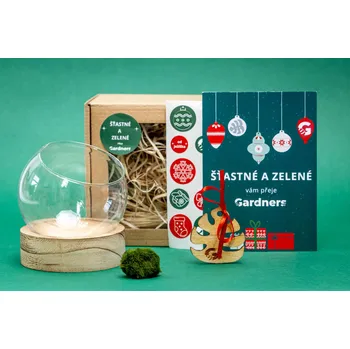 Vánoce Gardners Vánoční dárková sada - Skleněná koule Iris v dřevěném podstavci 10 cm a 1 řasokoule