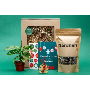 Kosmetická sada Gardners Vánoční dárková sada - Set Monstera adansonii Mint a substrát