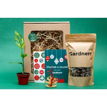 Vánoce Gardners Vánoční dárková sada - Set Monstera obliqua Peru a substrát