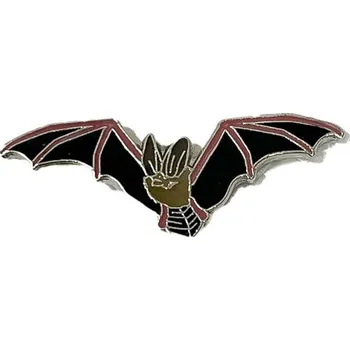 Odznáček - netopýr ušatý