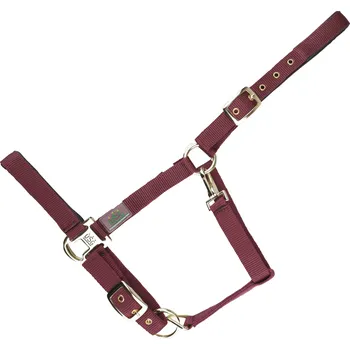 USG Ohlávka Everyday USG, burgundy PONY