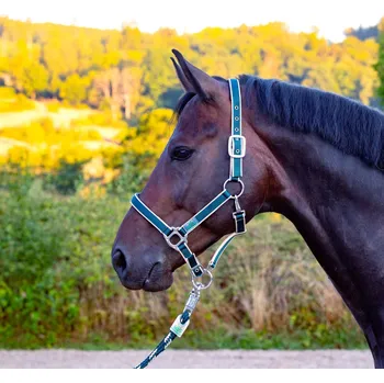 USG Ohlávka USG, green/off white PONY