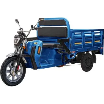 Elektrický skútr SUNWAY Cargo Sunway E-DSL150 Modrá