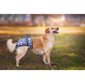 kalhotky pro psa Gapa hárací kalhotky pro psa - vsepropejska.cz Barva: Šedá, Obvod slabin (cm): 20 - 29