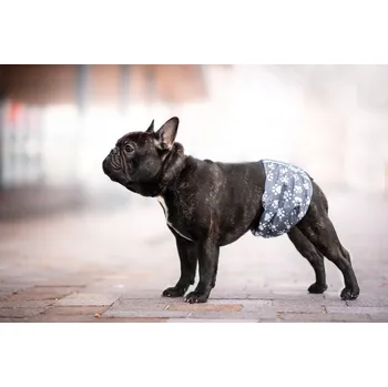 Obleček pro psa Vsepropejska Tuma protiznačkovací pás pro psa Barva: Šedá, Obvod slabin (cm): 48 - 52