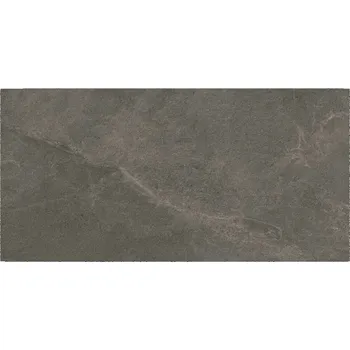 Dlažba DLAŽBA BASICONE SLATE GRAPHITE MAT 29,8X59,8 (II. JAKOST)