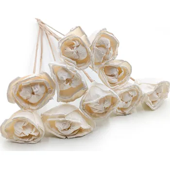 mech-mech.cz Květiny Shola Enchanied - (Sola Enchanited) - na stonku