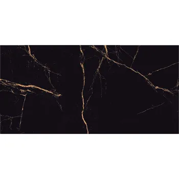 Dlažba DLAŽBA VEINS BLACK POLISHED 60X120