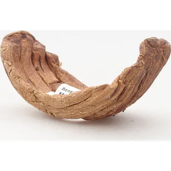 Květináč Keramická Skořápka 9 x 4,5 x 4,5 cm hnědá