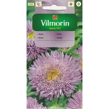 Semeno Astra čínská knížecí (modrofialová) 10/2024