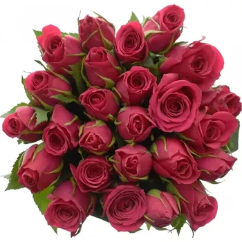 umělá květina Kytice 25 růžových růží FUCHSIANA 40cm