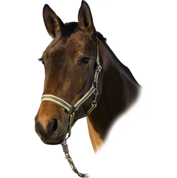 USG Ohlávka USG, brown/orange/light green PONY