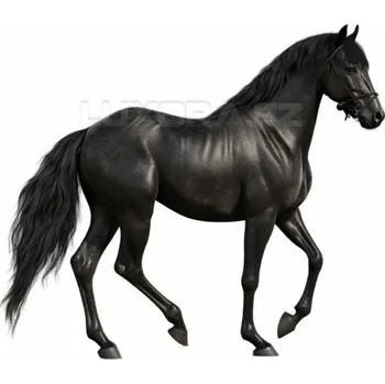 Nášivka Nažehlovačka Kůň černý klus - 12 x 10 cm