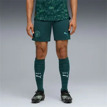 Pánské kraťasy Puma Green 1180019 2XL