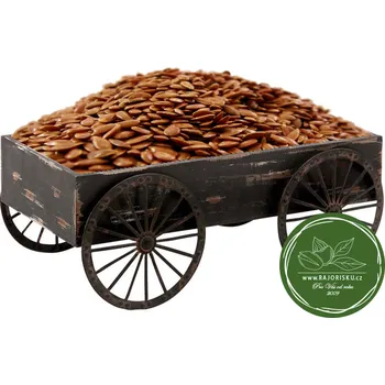 Lněné semínko hnědé - odrůda Astella 500g