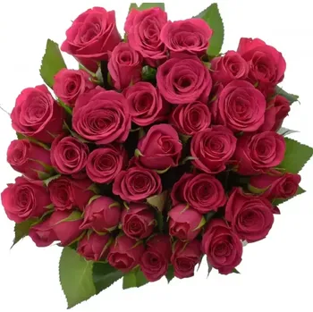 umělá květina Kytice 35 růžových růží FUCHSIANA 40cm