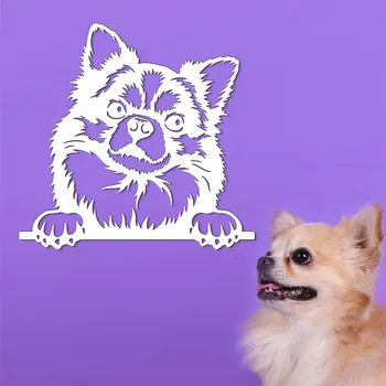 Obraz Dřevěná nálepka na stěnu - Čivava, Bílá | DUBLEZ