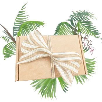 Dárkové balení semen palem