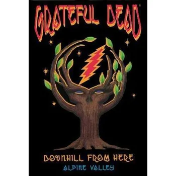 Zahraniční hudba DVD The Grateful Dead: Downhill From Here - Alpine Valley 2013