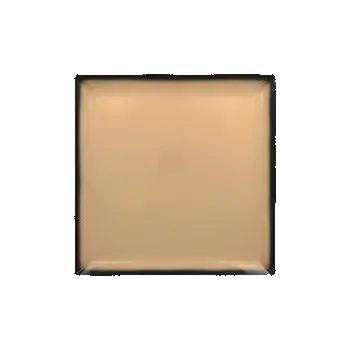 Talíř RAK Lea talíř čtvercový 30,2 × 30,2 cm, béžový | RAK-LEEDSQ30BG