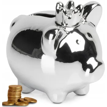 Pokladnička Pokladnička PRASÁTKO otevírací pro sbírání peněz na mince