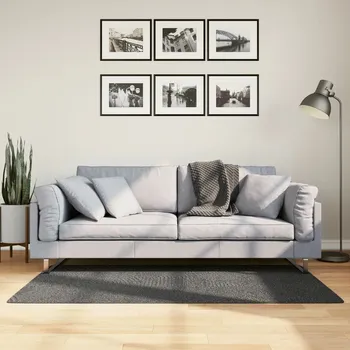Bytový textil vidaXL Koberec IZA krátký vlas skandinávský vzhled antracit 80x150 cm