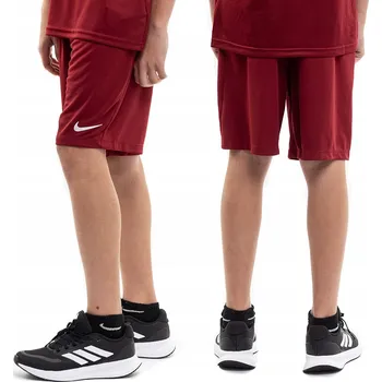 Pánské kraťasy Hnědé Kraťasy nike