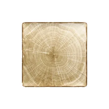 Talíř RAK Woodart talíř čtvercový 30 × 30 cm – mechově zelená | RAK-WDEDSQ30MG