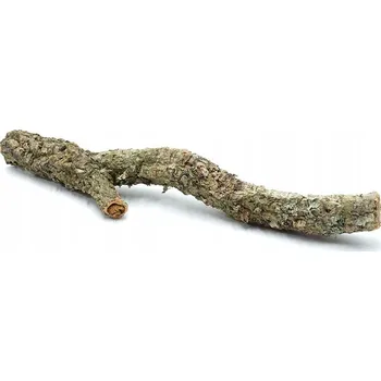 Dekorace do terária Dekorace Repti Planet Korková větev XL 90cm-120cm