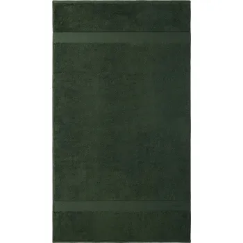 Ručník Velký bavlněný ručník Ralph Lauren AVENUE Pine 100 x 183 cm 1029000 zelená 87X