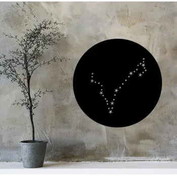 Obraz Znamení zvěrokruhu na zeď - Souhvězdí Ryby | DUBLEZ